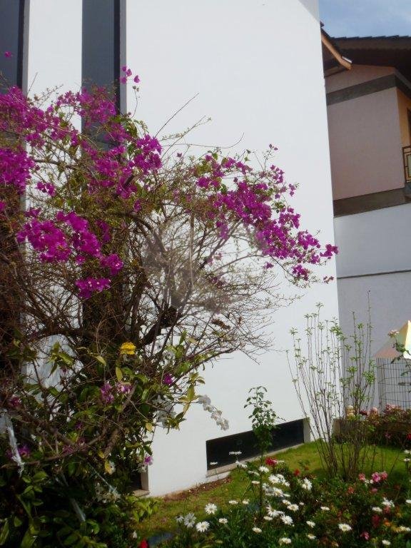 Sobrado à venda com 4 suítes em Tremembé, São Paulo, SP