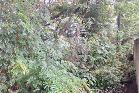 Terreno à venda em Jardim Maristela, Atibaia, SP