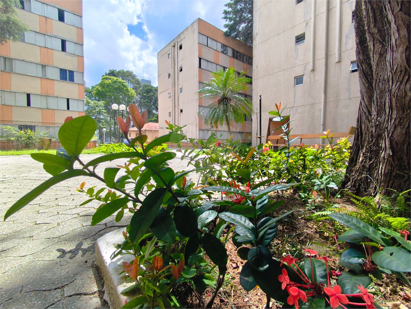 Apartamento à venda com 2 quartos em Jardim Leonor Mendes de Barros, São Paulo, SP