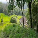 Casa Térrea à venda com 3 quartos, sendo 1 suíte, em Rio Abaixo, Mairiporã, SP