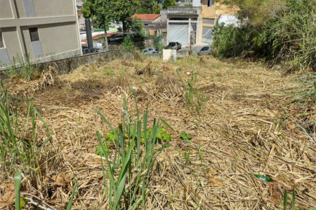 Terreno à venda em Jardim Guedala, São Paulo, SP