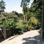 Terreno à venda em Tremembé, São Paulo, SP