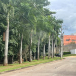 Terreno à venda no condomínio Millenium Campolim, Sorocaba - SP