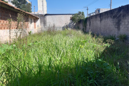 Terreno à venda com 1 quarto em Vila Gustavo, São Paulo, SP