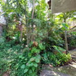 Casa à venda com 5 quartos, sendo 1 suíte, em Eldorado, São Paulo, SP
