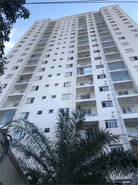 Apartamento à venda com 3 quartos, sendo 1 suíte, em Vila Guilherme, São Paulo, SP