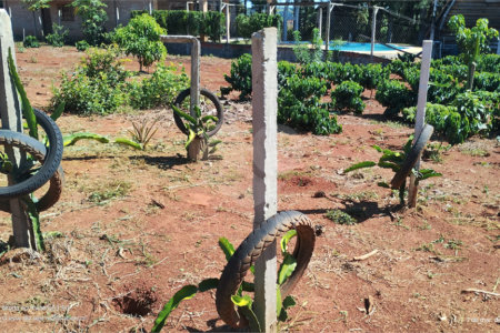 Chácara à venda em Campo Grande, Pilar do Sul, SP