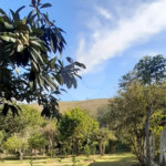 Casa à venda com 4 quartos, sendo 1 suíte, no Centro, Bom Jesus dos Perdões, SP