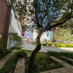 Apartamento à venda com 3 quartos em Vila Mariana, São Paulo, SP