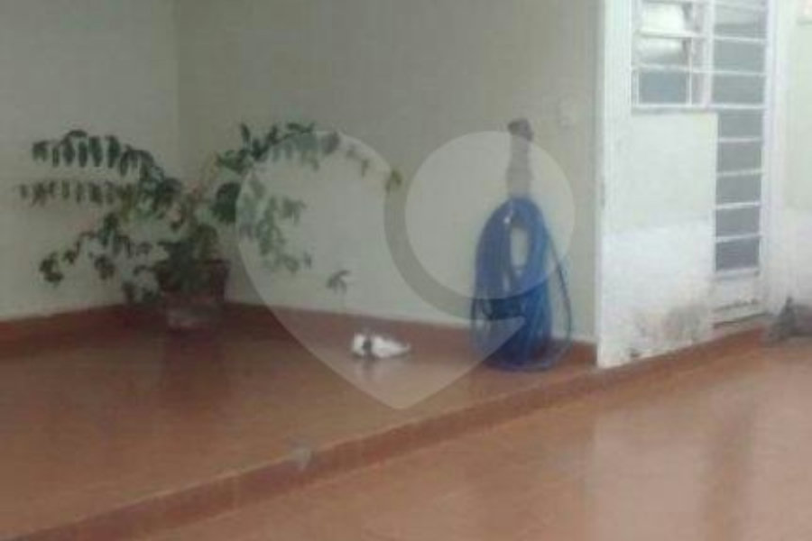 Casa Térrea à venda com 3 quartos, sendo 1 suíte, em Vila Albertina, São Paulo, SP