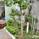 Sobrado à venda com 3 suítes em Santana, São Paulo, SP