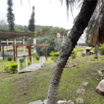 Casa Térrea à venda com 5 quartos, sendo 3 suítes, em Serra da Cantareira, Mairiporã, SP