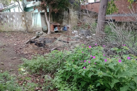 Casa à venda com 3 quartos, sendo 1 suíte,  em Vila Natal, Mogi das Cruzes, SP