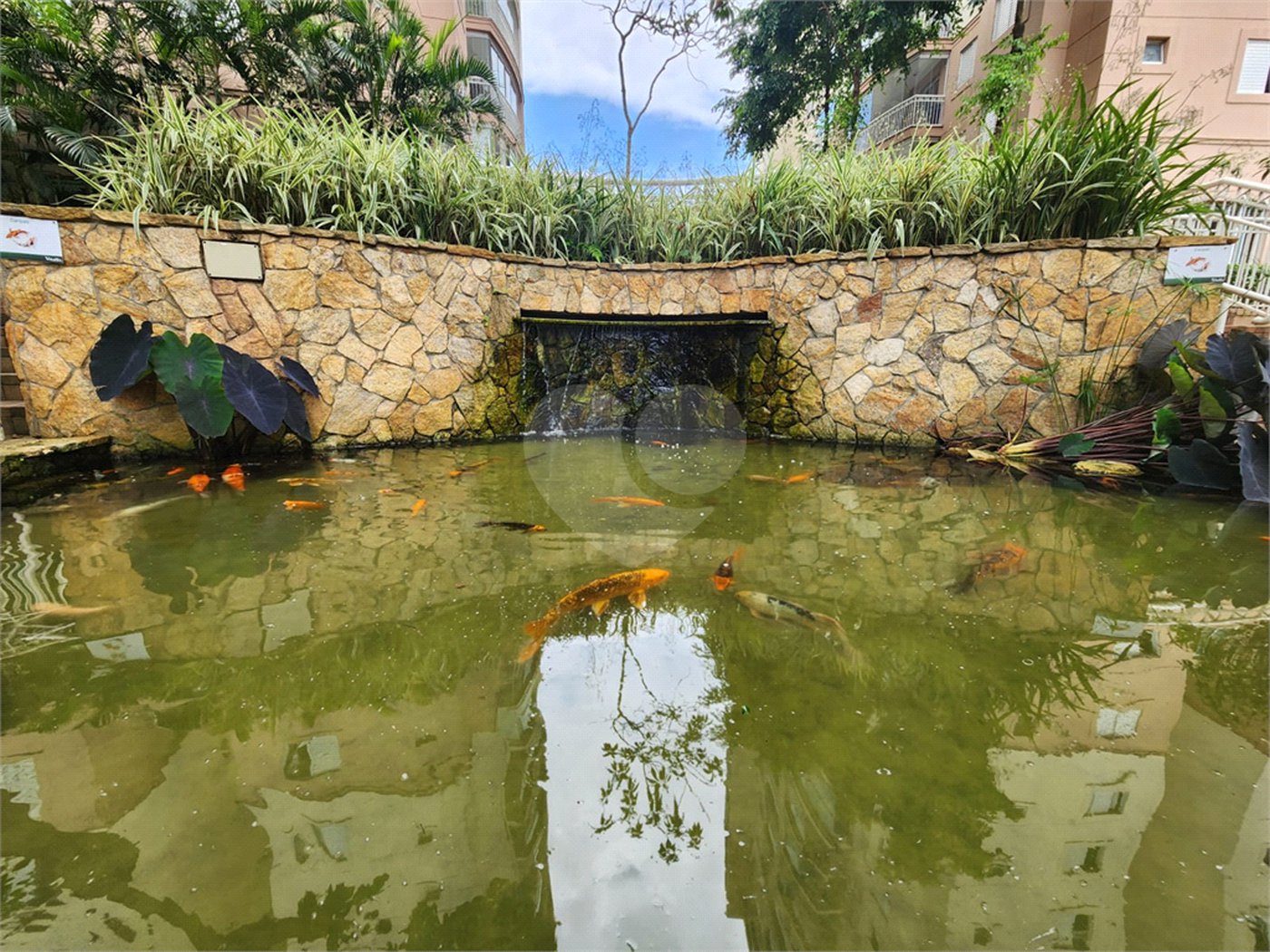 Apartamento à venda com 3 quartos, sendo 2 suítes, em Jardim Arpoador, São Paulo, SP