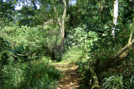 Chácara à venda com 2 quartos, sendo 1 suíte, no Centro, Araçariguama, SP
