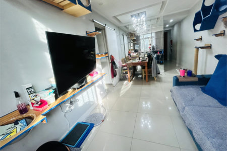 Apartamento à venda com 3 quartos em Rio Comprido, Rio de Janeiro, RJ