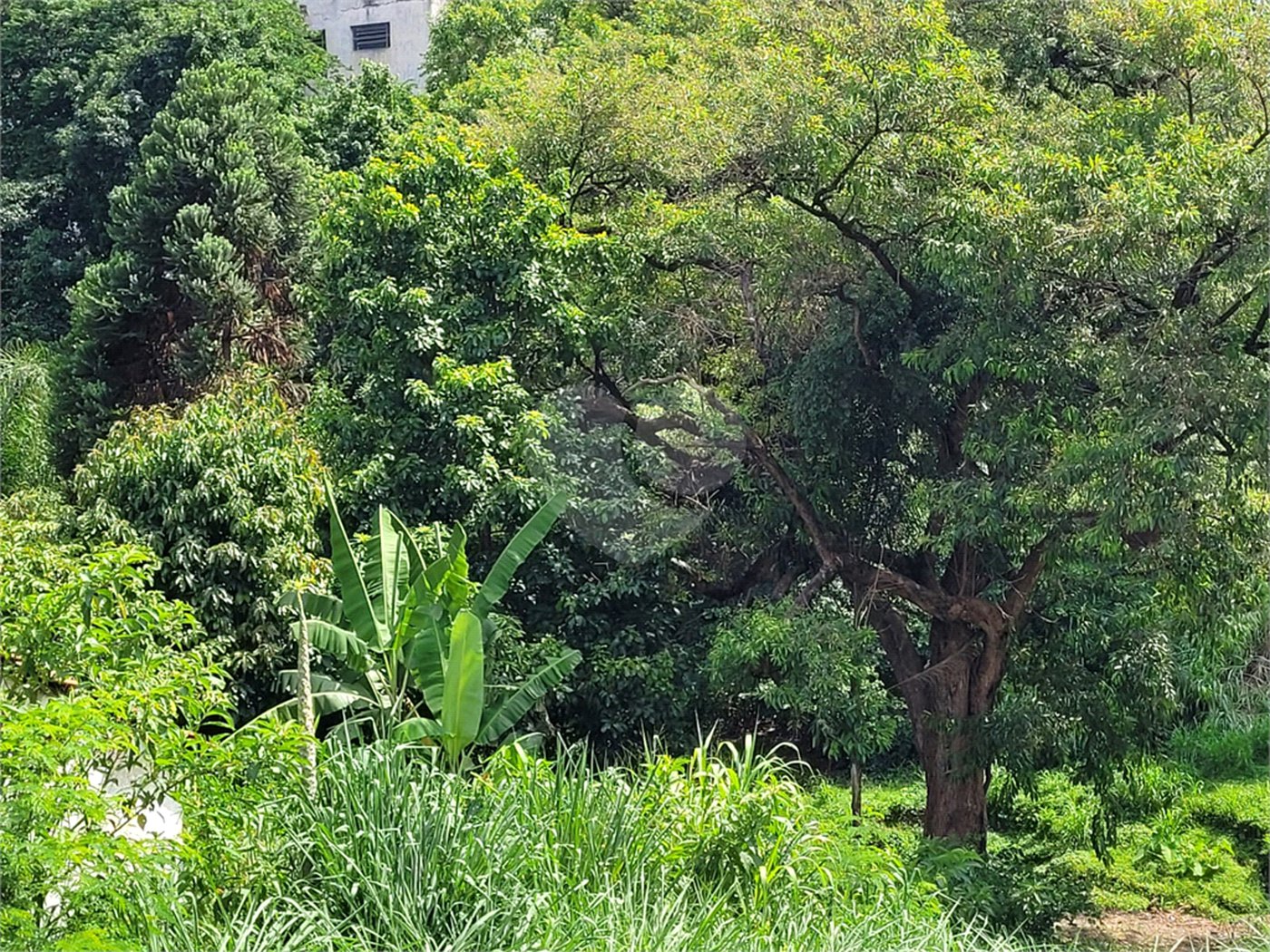 Terreno à venda com 1 quarto em Água Fria, São Paulo, SP