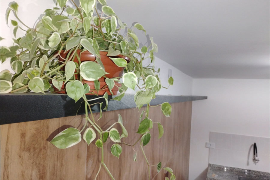 Studio para alugar em Vila Constança, São Paulo, SP