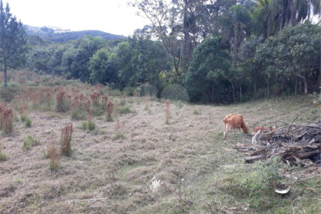 Chácara à venda com 4 quartos, sendo 2 suítes, em Jardim Conceição, São Roque, SP