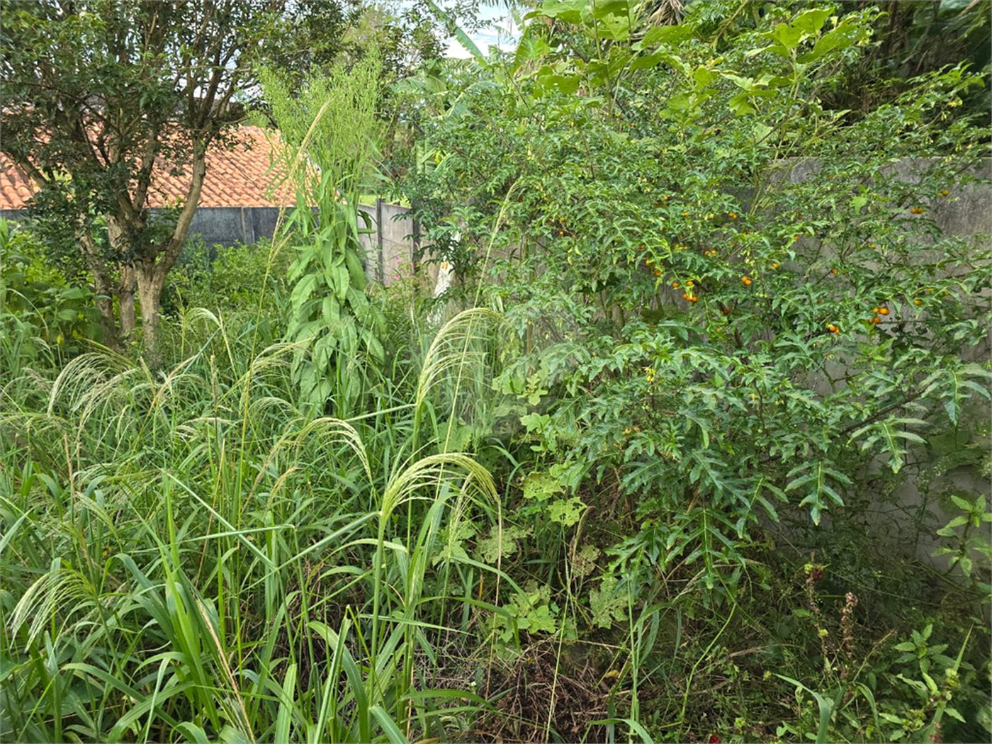 Casa à venda com 2 quartos, sendo 1 suíte, em Ressaca, Atibaia, SP