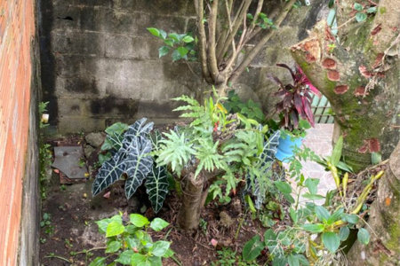Casa à venda com 2 quartos, sendo 1 suíte,  em Vila Nova Bonsucesso, Guarulhos, SP