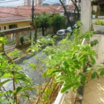 Sobrado à venda com 3 quartos em Tucuruvi, São Paulo, SP