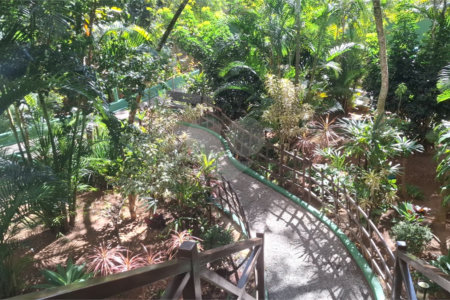 Apartamento à venda com 2 quartos em Planalto, São Bernardo do Campo, SP