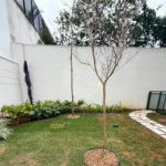 Apartamento à venda com 1 suíte em Vila Leopoldina, São Paulo, SP