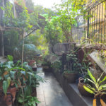 Casa à venda com 5 quartos, sendo 2 suítes,  em Rio Comprido, Rio de Janeiro, RJ