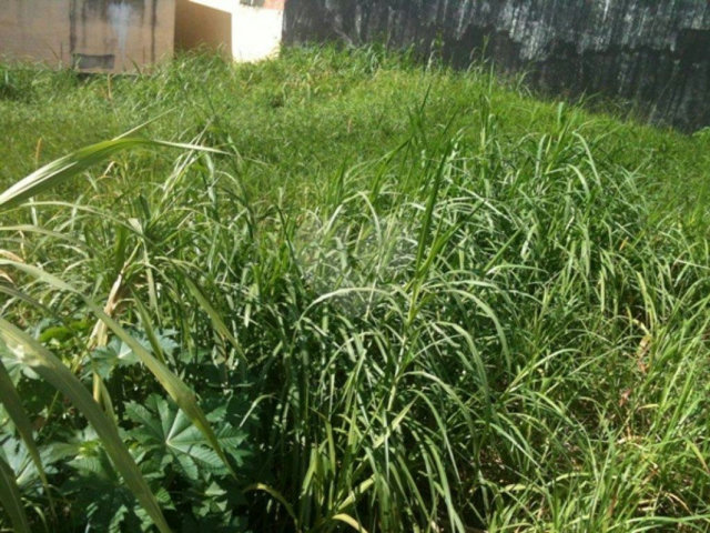 Terreno à venda em Tremembé, São Paulo, SP