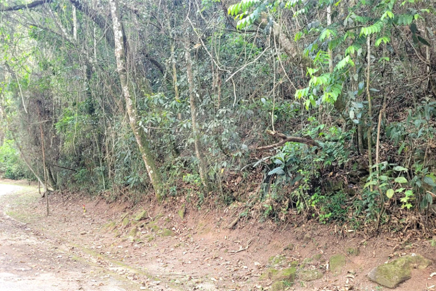 Terreno à venda no condomínio Alpes da Cantareira, Mairiporã - SP