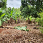 Chácara à venda com 2 quartos em Jardim Califórnia, Araraquara, SP