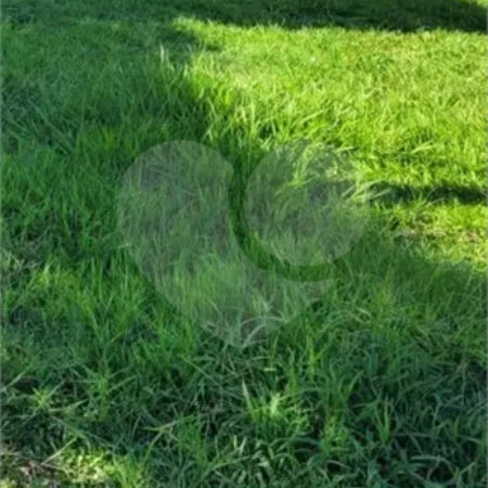 Terreno à venda no condomínio Altos do Jaraguá, Araraquara - SP