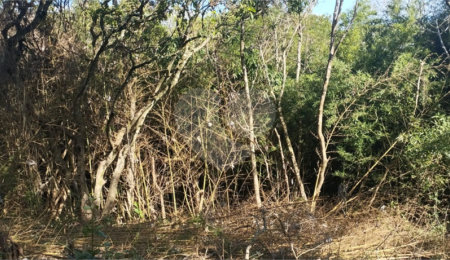 Terreno à venda em Vila Rosa, Itapetininga, SP