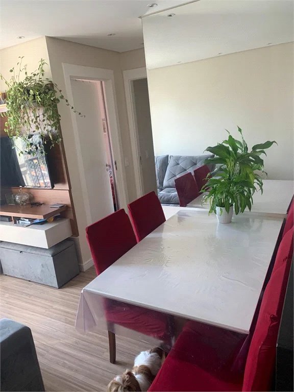 Apartamento à venda com 2 quartos em Parque Reboucas, São Paulo, SP