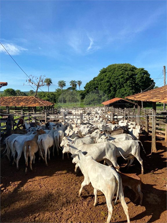 Fazenda à venda com 2 quartos em Canabrava, João Pinheiro, MG