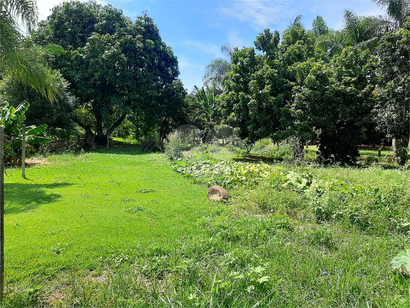 Terreno à venda em Cachoeira, Vinhedo, SP