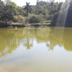 Chácara à venda com 6 quartos, sendo 3 suítes, em Paiol Velho, Vinhedo, SP