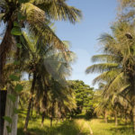 Área de Terra à venda com 1 suíte em Campo Grande, Rio de Janeiro, RJ