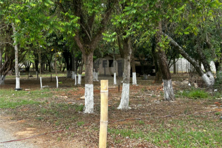 Terreno à venda em Vila Asem, Itapetininga, SP