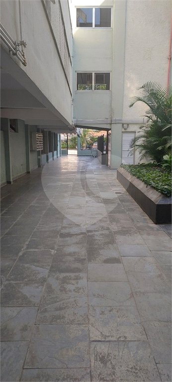 Apartamento à venda com 3 quartos em Jaçanã, São Paulo, SP