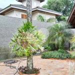 Casa à venda com 8 quartos, sendo 4 suítes, em Roseira, Mairiporã, SP