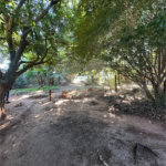 Terreno à venda em Residencial Ponta Porã I, Ponta Porã, MS