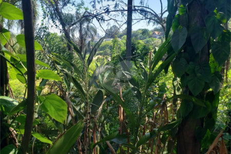 Terreno à venda em Morumbi, São Paulo, SP