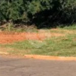 Terreno à venda no Centro, Jardim, MS