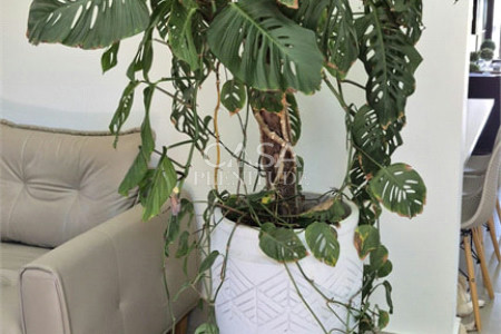 Casa em condomínio à venda com 3 suítes em Parque Ecoresidencial Fazenda Jequitibá, Sorocaba, SP