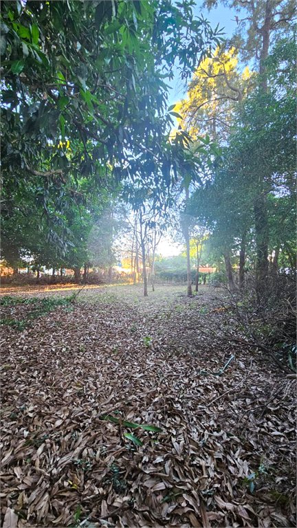 Terreno à venda em Jardim dos Estados, Ponta Porã, MS