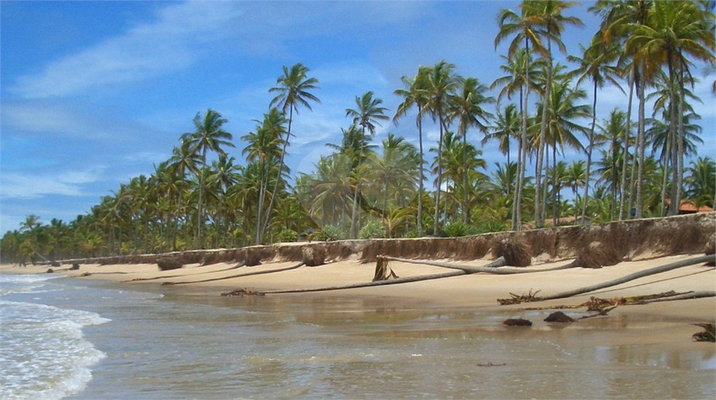 Área de Terra à venda em Mogiquiçaba, Belmonte, BA