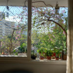 Apartamento à venda com 3 quartos em Casa Verde, São Paulo, SP