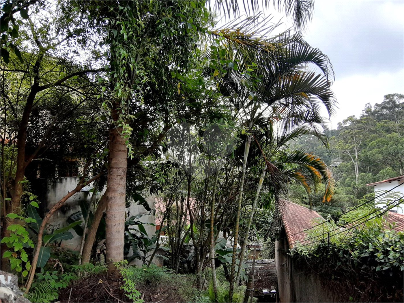 Terreno à venda em Tucuruvi, São Paulo, SP